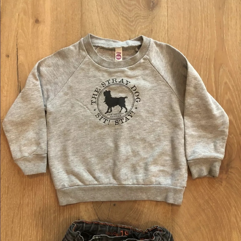 Outfit size 2T - Picture 4 of 5